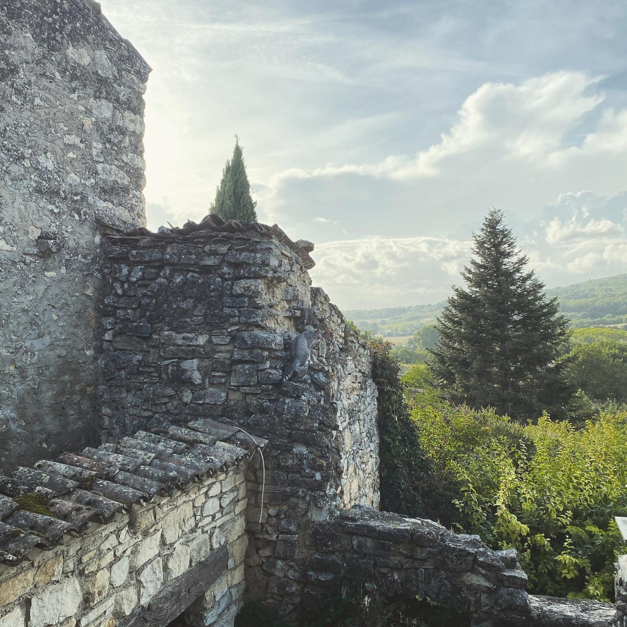 Auberge Du Boisset Saint-Martin-de-Castillon Екстериор снимка